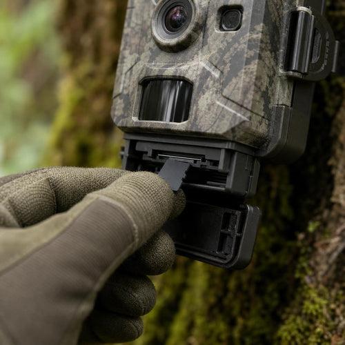 microSD-Karte wird in den Kartenslot einer Wildkamera eingesetzt